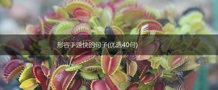 形容手速快的句子(优选40句),第1张