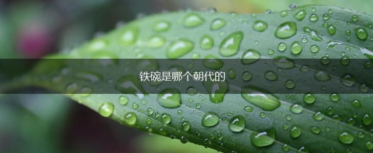 铁碗是哪个朝代的,第1张