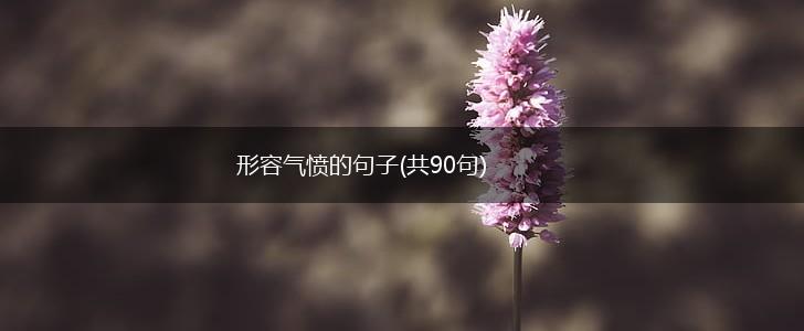 形容气愤的句子(共90句),第1张