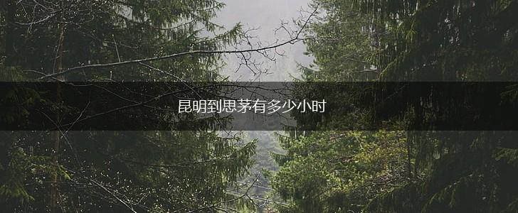 昆明到思茅有多少小时,第1张