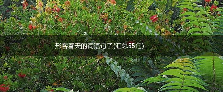 形容春天的词语句子(汇总55句),第1张