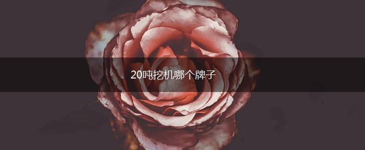 20吨挖机哪个牌子,第1张