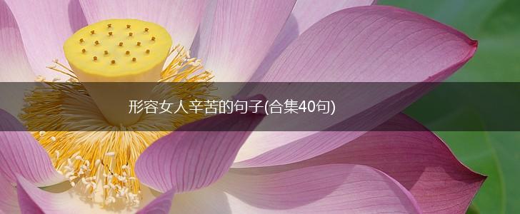 形容女人辛苦的句子(合集40句),第1张