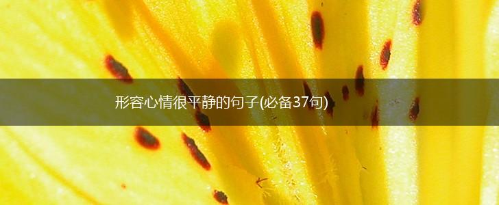形容心情很平静的句子(必备37句),第1张