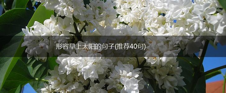 形容早上太阳的句子(推荐40句),第1张