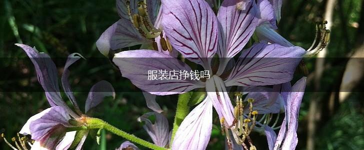 服装店挣钱吗,第1张