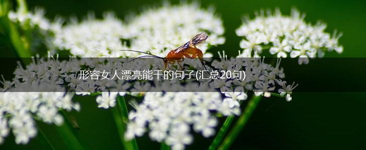 形容女人漂亮能干的句子(汇总20句),第1张