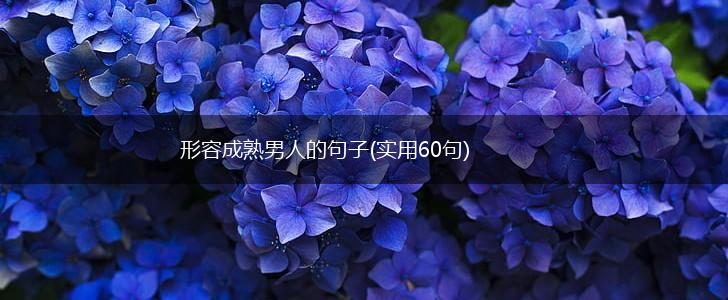 形容成熟男人的句子(实用60句),第1张
