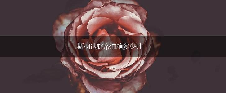 斯柯达野帝油箱多少升,第1张