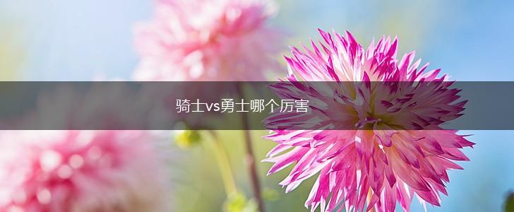 骑士vs勇士哪个厉害,第1张