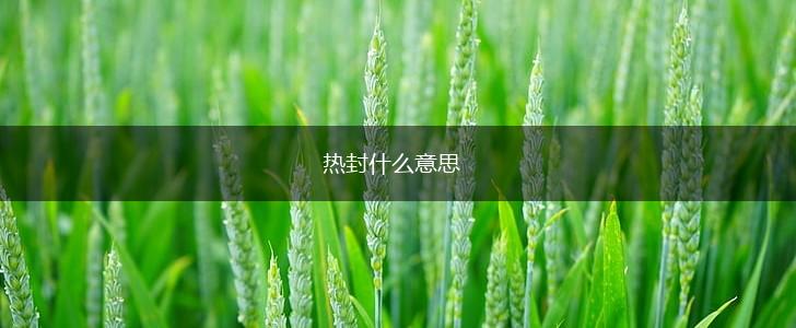 热封什么意思,第1张