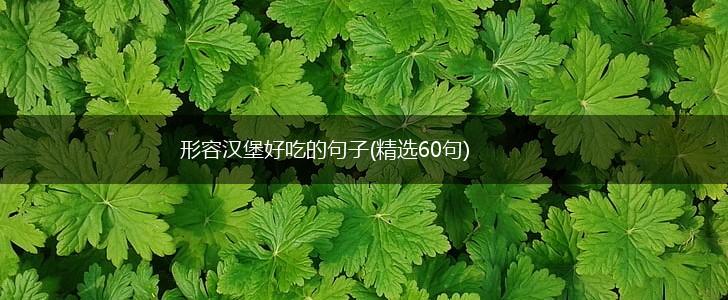 形容汉堡好吃的句子(精选60句),第1张