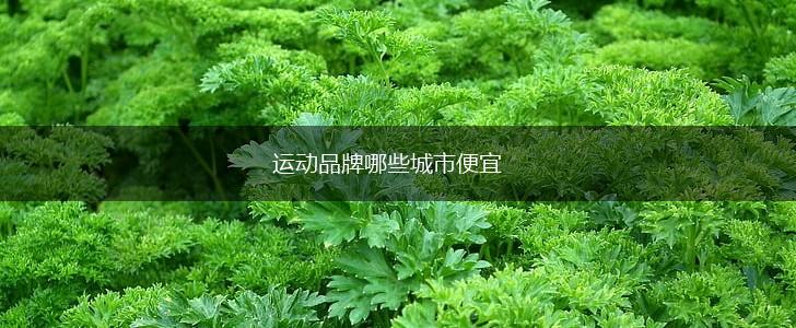 运动品牌哪些城市便宜,第1张