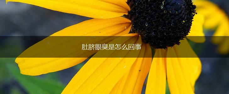 肚脐眼臭是怎么回事,第1张