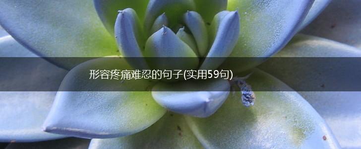 形容疼痛难忍的句子(实用59句),第1张