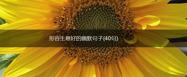 形容生意好的幽默句子(40句),第1张