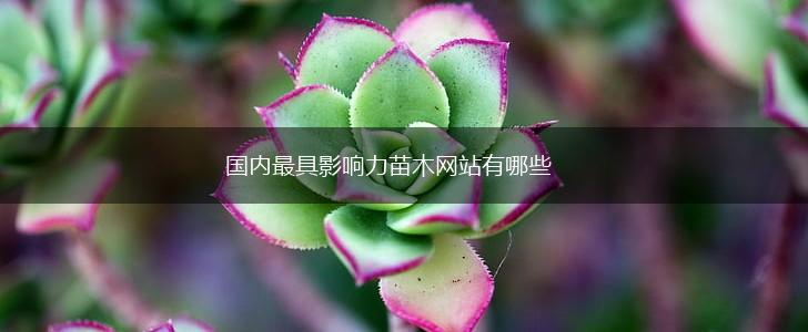 国内最具影响力苗木网站有哪些,第1张