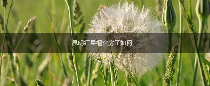 昆明红星檀宫房子如何,第1张