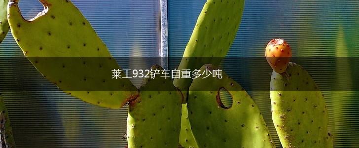 莱工932铲车自重多少吨,第1张