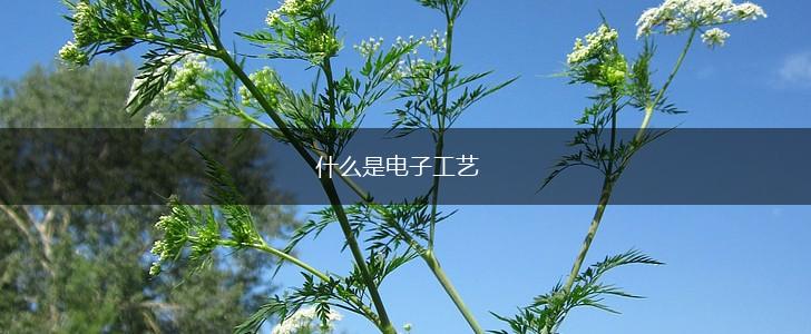 什么是电子工艺,第1张