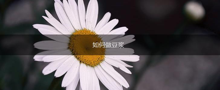 如何做豆浆,第1张