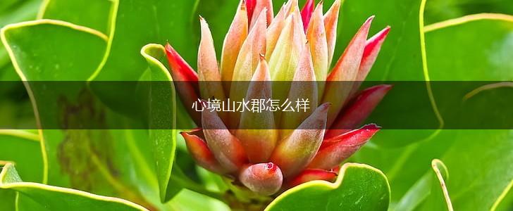 心境山水郡怎么样,第1张