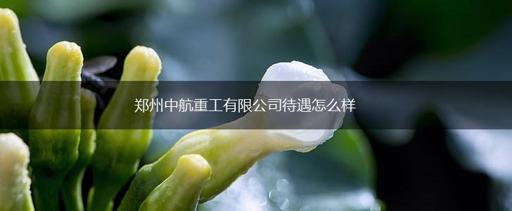 郑州中航重工有限公司待遇怎么样,第1张