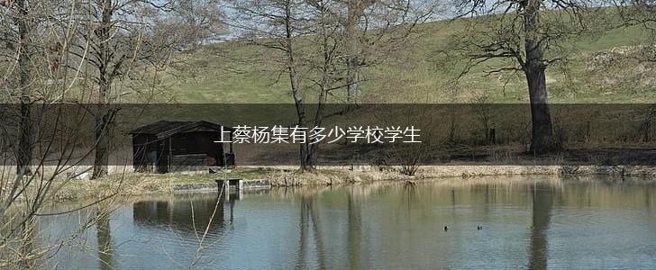 上蔡杨集有多少学校学生,第1张