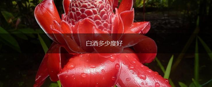 白酒多少度好,第1张