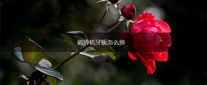 破碎机牙版怎么换,第1张