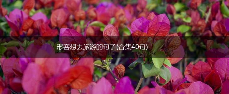 形容想去旅游的句子(合集40句),第1张