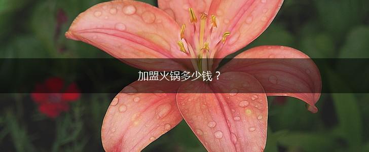 加盟火锅多少钱？,第1张