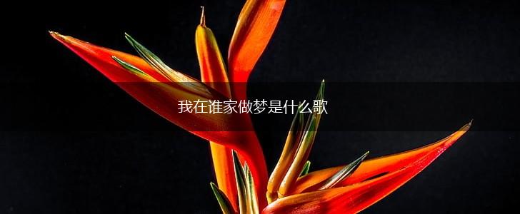 我在谁家做梦是什么歌,第1张