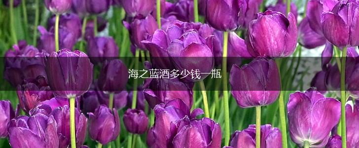 海之蓝酒多少钱一瓶,第1张