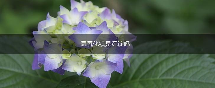 氢氧化镁是沉淀吗,第1张