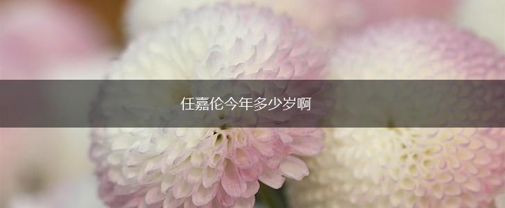 任嘉伦今年多少岁啊,第1张