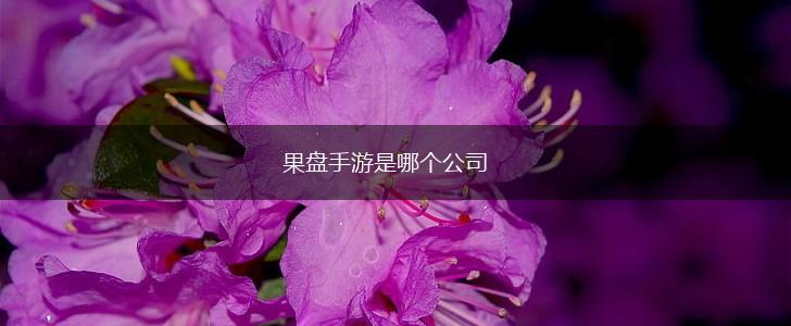 果盘手游是哪个公司,第1张