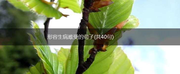 形容生病难受的句子(共40句),第1张