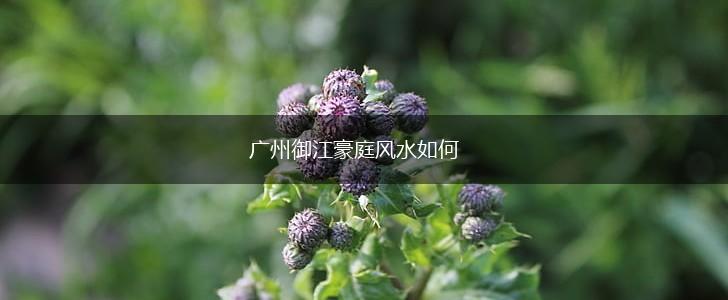 广州御江豪庭风水如何,第1张