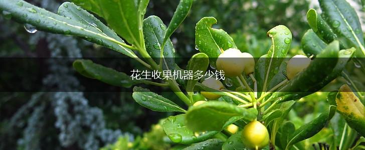 花生收果机器多少钱,第1张