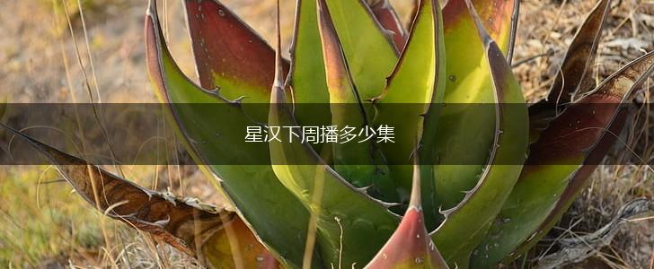 星汉下周播多少集,第1张