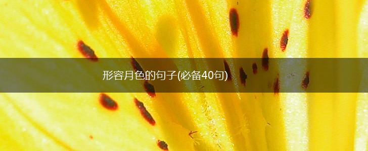 形容月色的句子(必备40句),第1张