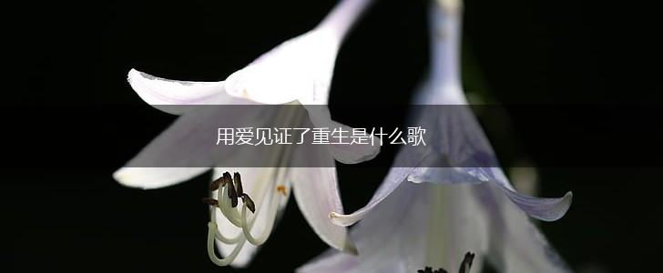 用爱见证了重生是什么歌,第1张
