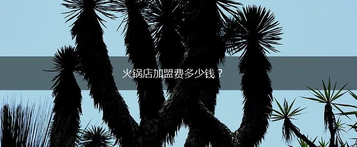 火锅店加盟费多少钱？,第1张