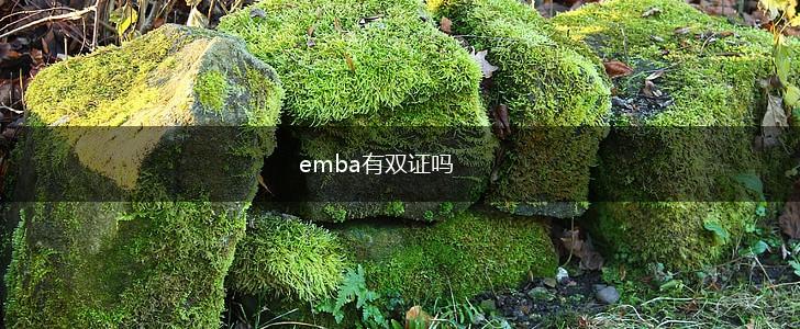 emba有双证吗,第1张