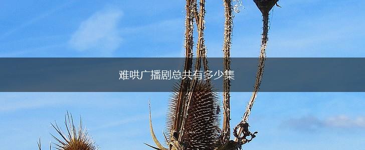 难哄广播剧总共有多少集,第1张