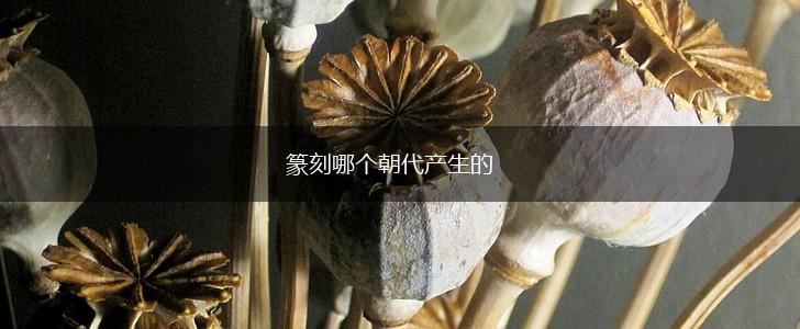 篆刻哪个朝代产生的,第1张