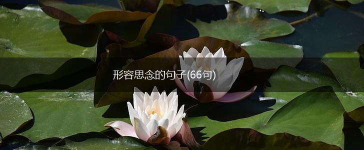 形容思念的句子(66句),第1张
