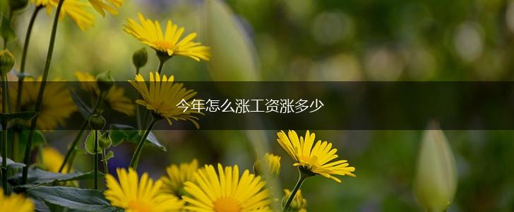 今年怎么涨工资涨多少,第1张