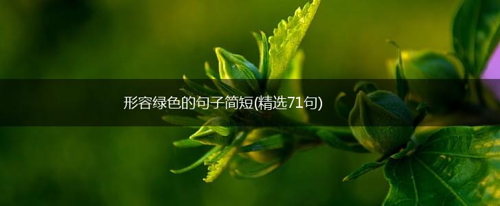形容绿色的句子简短(精选71句),第1张